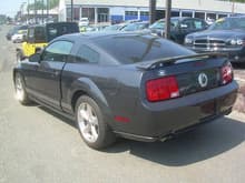 Mustang Dealer 4