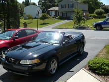 My First Mustang