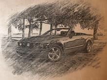 Mustang sketch