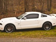 Stang Mods201325for web01