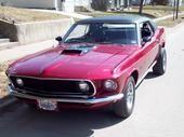 mustang front