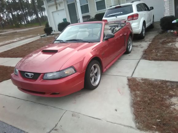 Well here she is