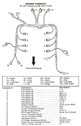 Fuel Injector Harness