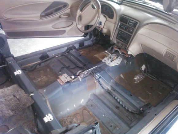Floor of the convertible.  Clean and as solid as the day she was made.