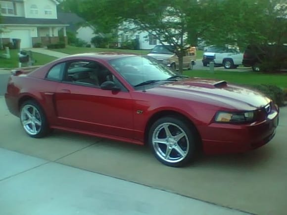 New Saleen wheels and just washed