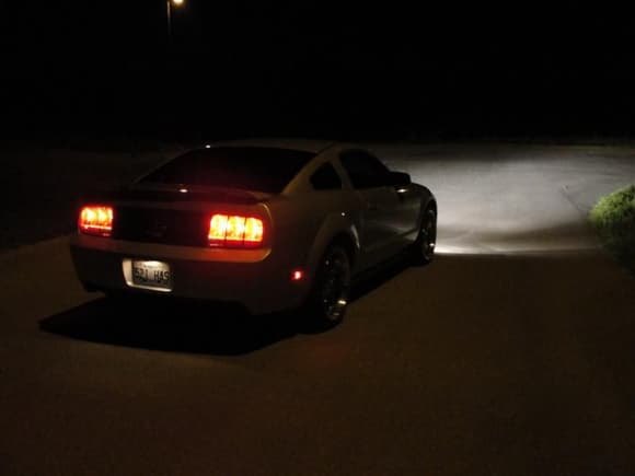 Mustang7