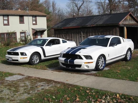 father and son Mustangs
