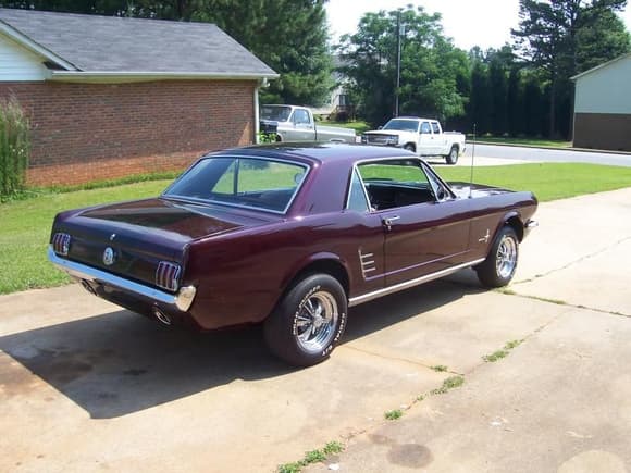 Mustang 004