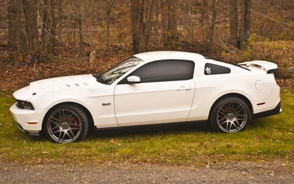 Stang Mods201325for web01
