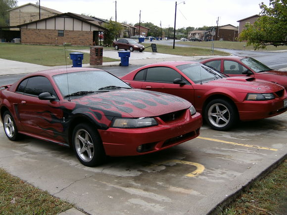 My 2001 Cobra and my early 2001 GT