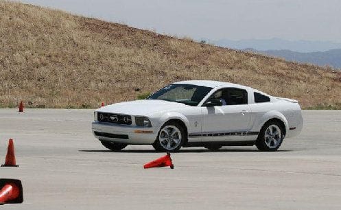 Mustang SV