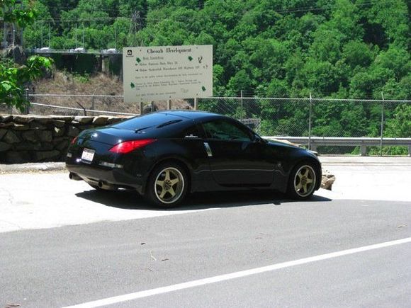 Zdayz 08