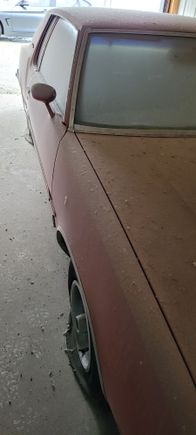 Right side - solid panels - left side similar