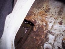 Underneath rear seats offside