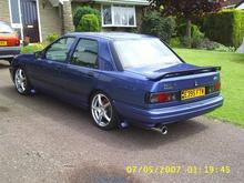 willow wood 044