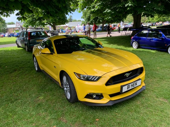 There were quite a few new Mustangs this year.