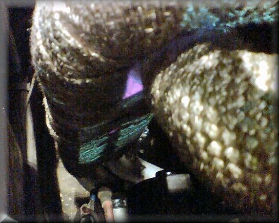 Hot Manifold 600x480