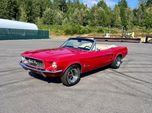 1967 Ford Mustang  for sale $43,495 