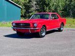 1965 Ford Mustang  for sale $23,995 