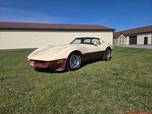 1981 Chevrolet Corvette  for sale $19,000 