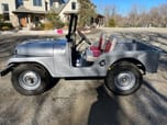 1968 Willys  for sale $23,895 