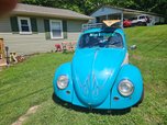 1973 Volkswagen Beetle 