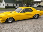 BEAUTIFUL 68 MUSTANG ROLLER- 4 LINK - STRUT FRONT END  for sale $25,000 