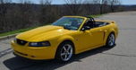 2004 Ford Mustang  for sale $24,995 
