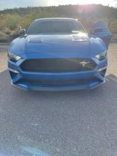 2020 Ford Mustang  for Sale $52,495 