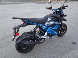 NEW Bintelli Scooter / Beast 50c / Green or Blue / 30 mph!