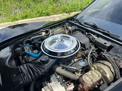 1981 Chevrolet Corvette  for sale $19,900 