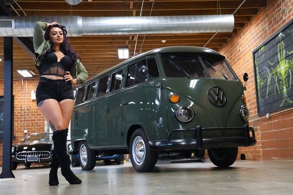 1967 Volkswagen Transport Van  for Sale $39,900 