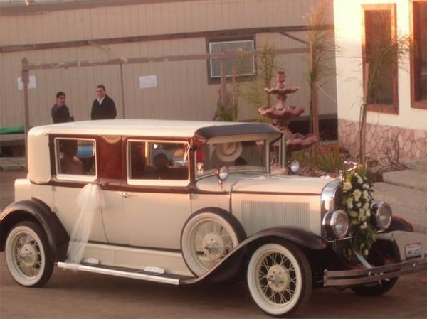 1931 Cadillac La Salle  for Sale $67,995 