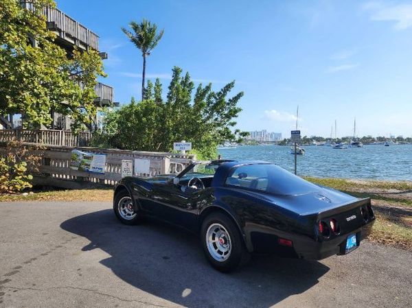 1980 Chevrolet Corvette  for Sale $20,495 