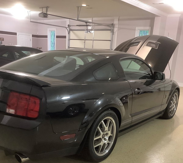 2007 Ford Mustang  for Sale $55,000 