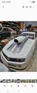 Prostock/Topsportsman