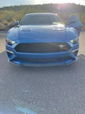 2020 Ford Mustang  for sale $52,495 