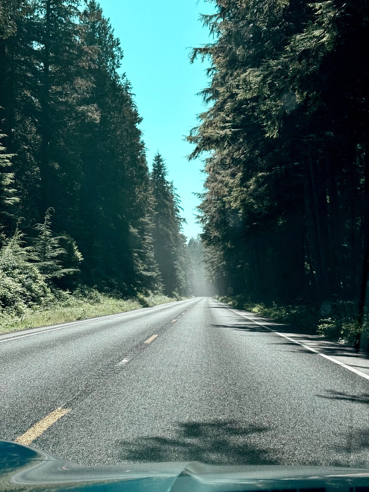 Deep in the woods: Hoh Rainforest