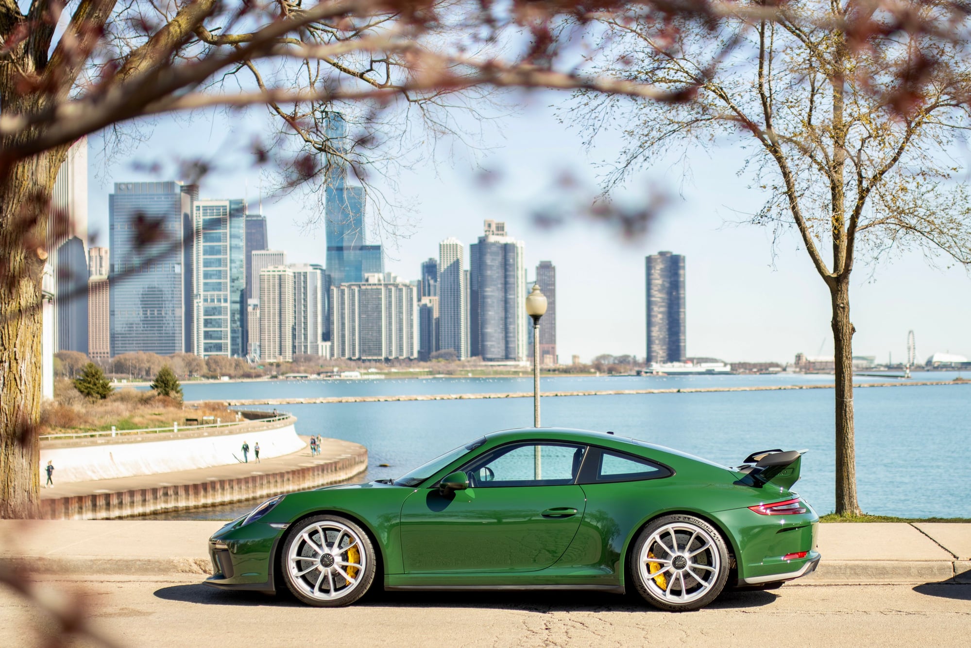 2018 Porsche GT3 - PTS Irish Green 2018 GT3 Manual PCCB FAL CXX - 8k miles - Warranty through late 2027 - Used - Palos Heights, IL 60463, United States