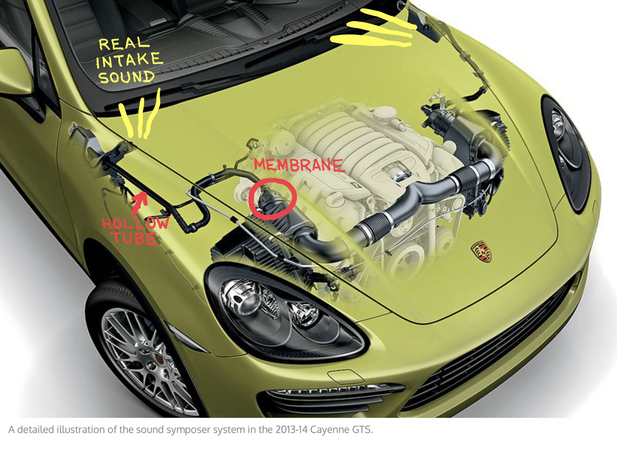 All Natural or Augmented? Sound Off With Your Preference! - Rennlist -  Porsche Discussion Forums