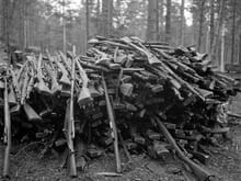 Captured weapons by the Finns after a battle. Note the M38's their troops abandoned for better rifles............