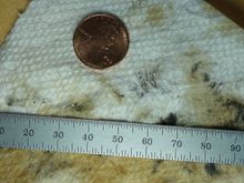 Here are some of the flakes that I wiped off of my magnetic drain plug with a paper towel.