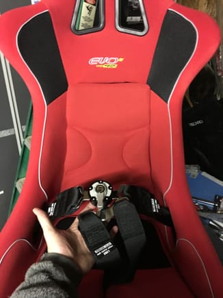 New Sparco 6 Point - Hans/FIA Harness