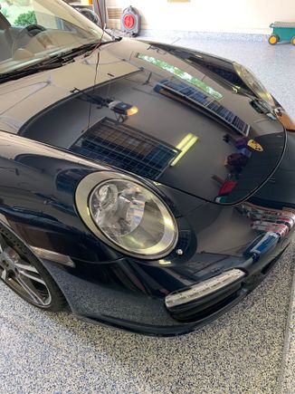 March 2019 Ceramic Coat with Avalon King