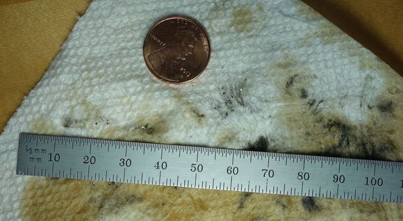 Here are some of the flakes that I wiped off of my magnetic drain plug with a paper towel.