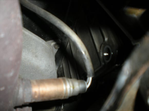 picture of cover which sits in front of O2 sensor on driver side