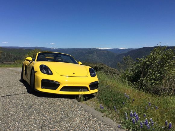 It is spring in the Sierras