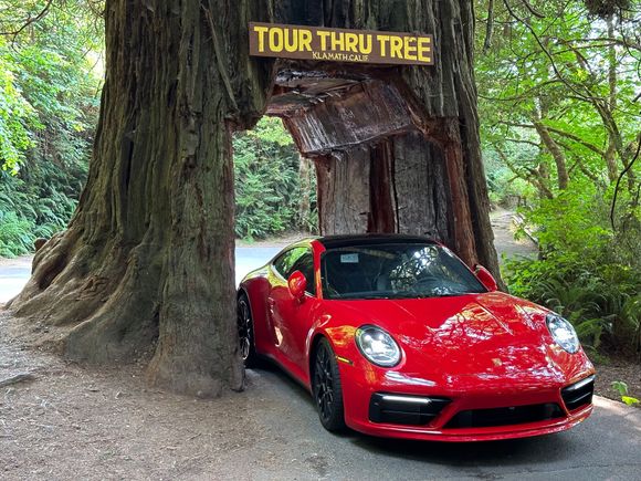 Redwoods National Park 