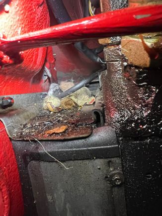 A bird may have taken up residency. I believe the car sat for quite a few years based on the carfax. 
