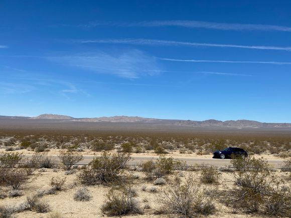 Mojave Preserve